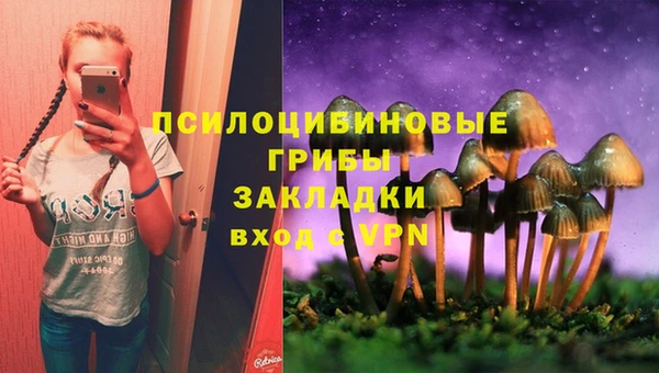 мескалин Алексеевка