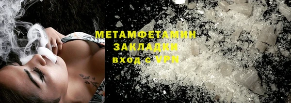 шишки Абаза