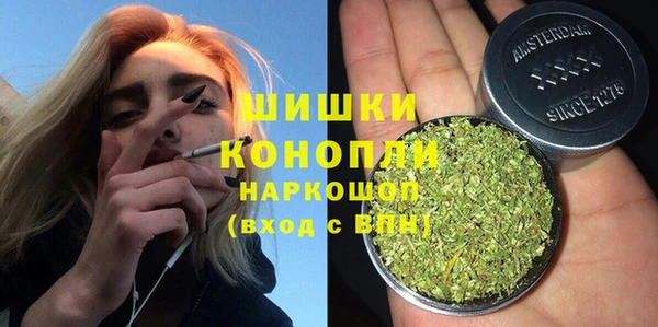 твердый Новозыбков