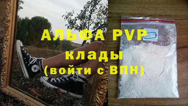 шишки Абаза