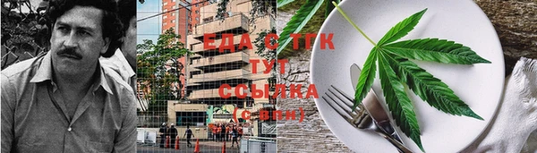 шишки Абаза