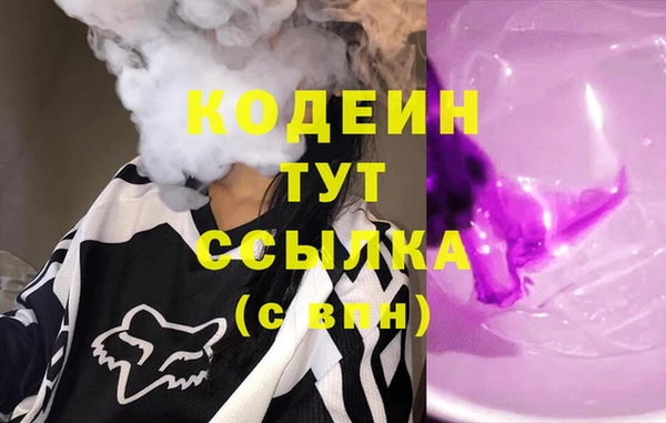 шишки Абаза