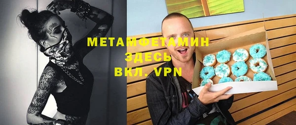 шишки Абаза