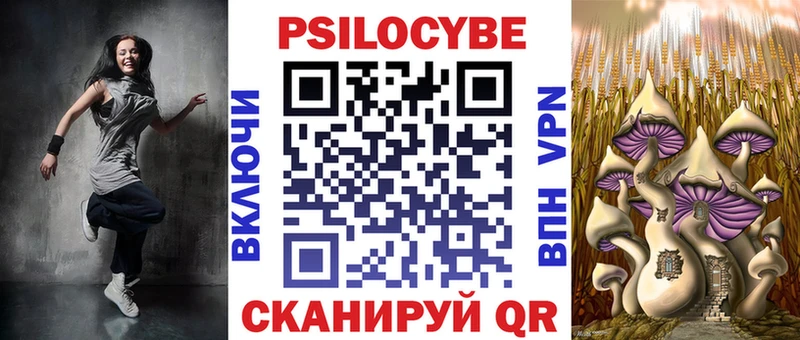 хочу Зеленокумск KRAKEN Галлюциногенные грибы Psilocybe