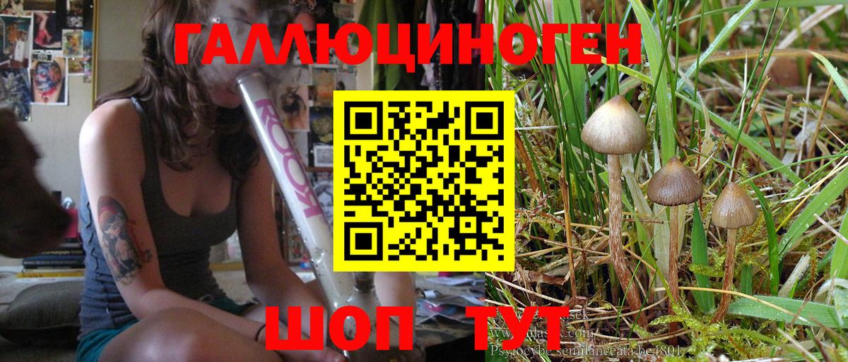 Зеленокумск  Галлюциногенные грибы Psilocybe  Вход с VPN 